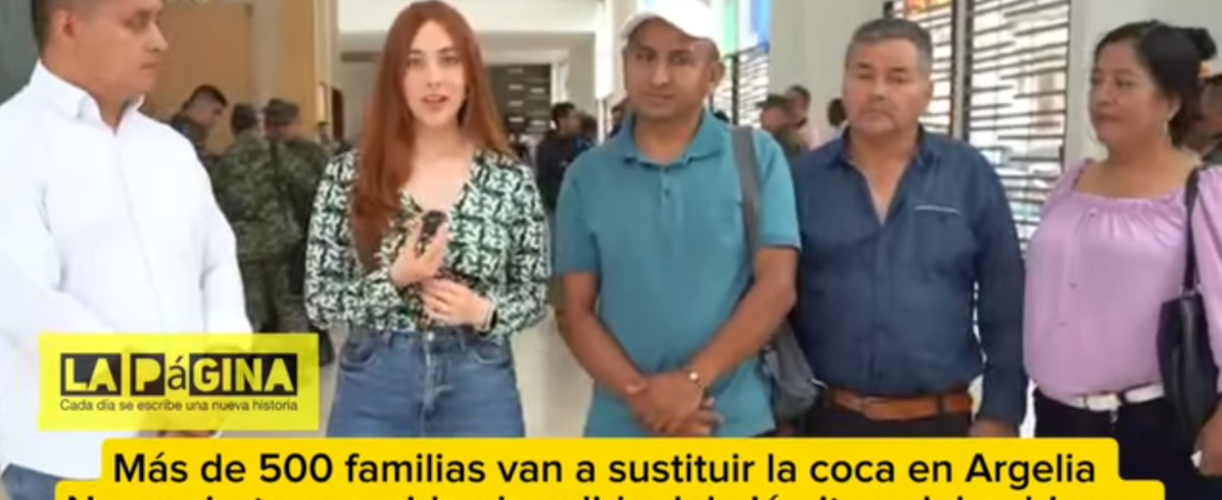 Situación Actual en El Plateado, Argelia, Cauca: Un Análisis de los Últimos Incidentes