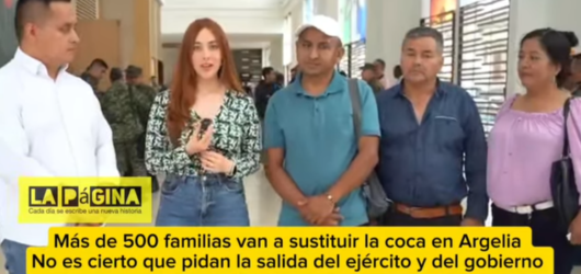 Situación Actual en El Plateado, Argelia, Cauca: Un Análisis de los Últimos Incidentes